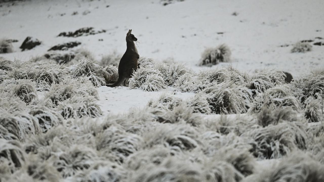 In NSW snow is likely down to 1000m on Monday night.