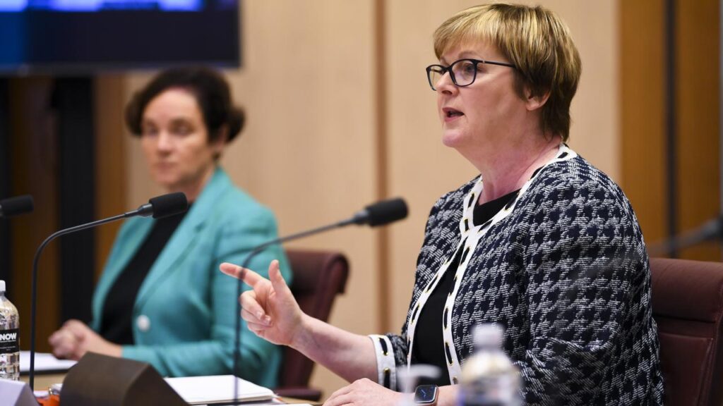 NDIS Minister Linda Reynolds has paused a plan to replace typical support packages.