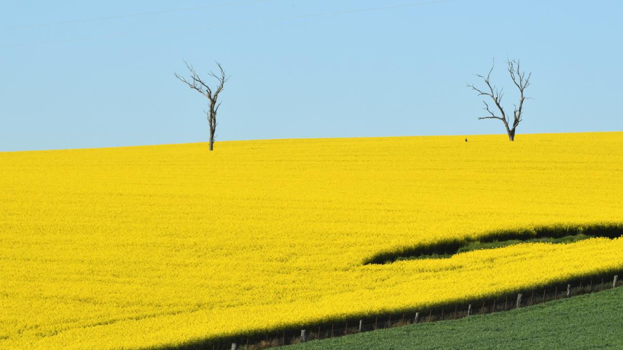 Australia's winter crop production is tipped to be the largest in the nation's history.