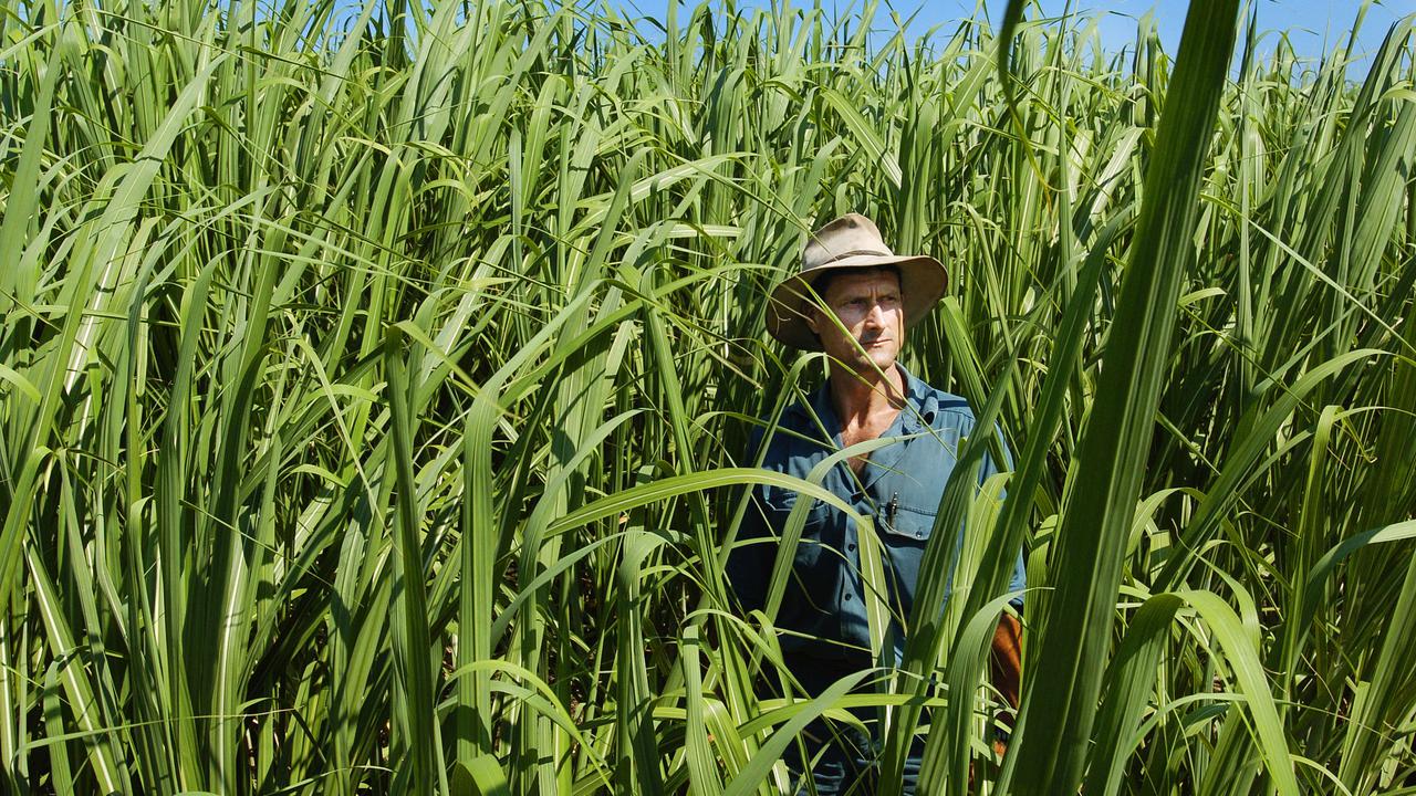 Canegrowers say the trade deal will give producers the best access to British markets since 1073.