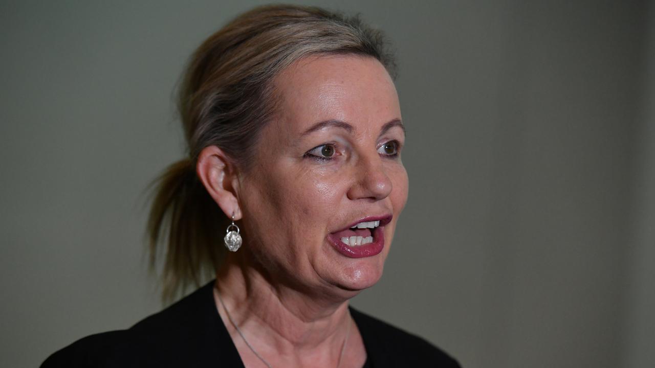 Environment Minister Sussan Ley is being urged not to approve a development on the NSW south coast.