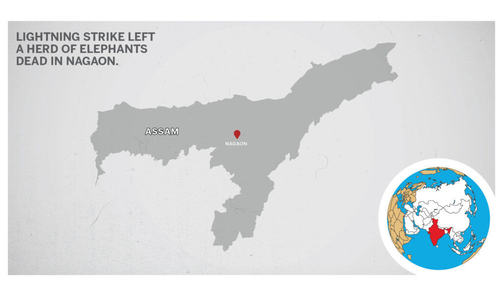 Map of Nagaon Assam