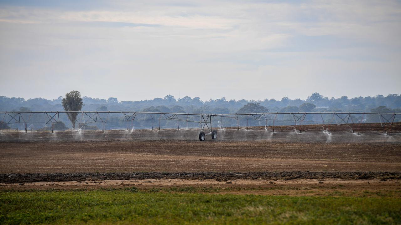 An area of land almost 200 times the size of Sydney's CBD was lost to land clearing in NSW in 2019.