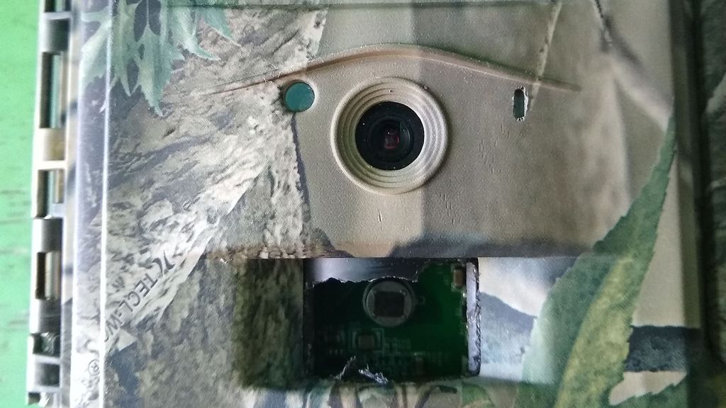 The camera that was attacked by a black woodpecker in the Nizhne-Svirsky Nature Reserve. (Nizhne-Svirsky State Reserve/Zenger News)