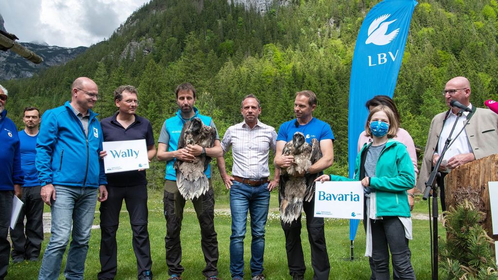 The preservation team with the two bearded vultures in the Berchtesgaden National Park in Germany. (Hansruedi Weyrich, LBV/Zenger News)