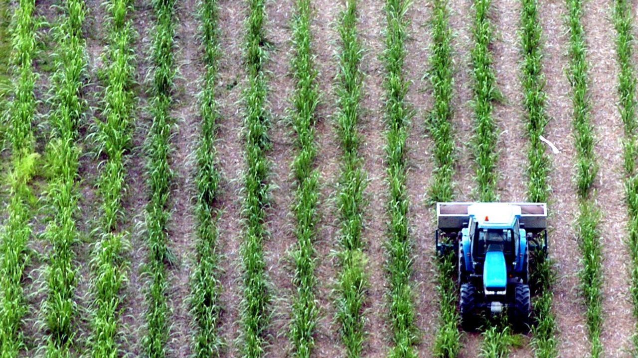 Bundaberg mayor Jack Dempsey says Queensland's sugarcane industry was built on the back of slavery.