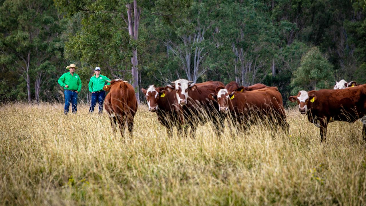 Dave McGiveron and Bianca Tarrant have fought their way back from two bushfires and a drought.