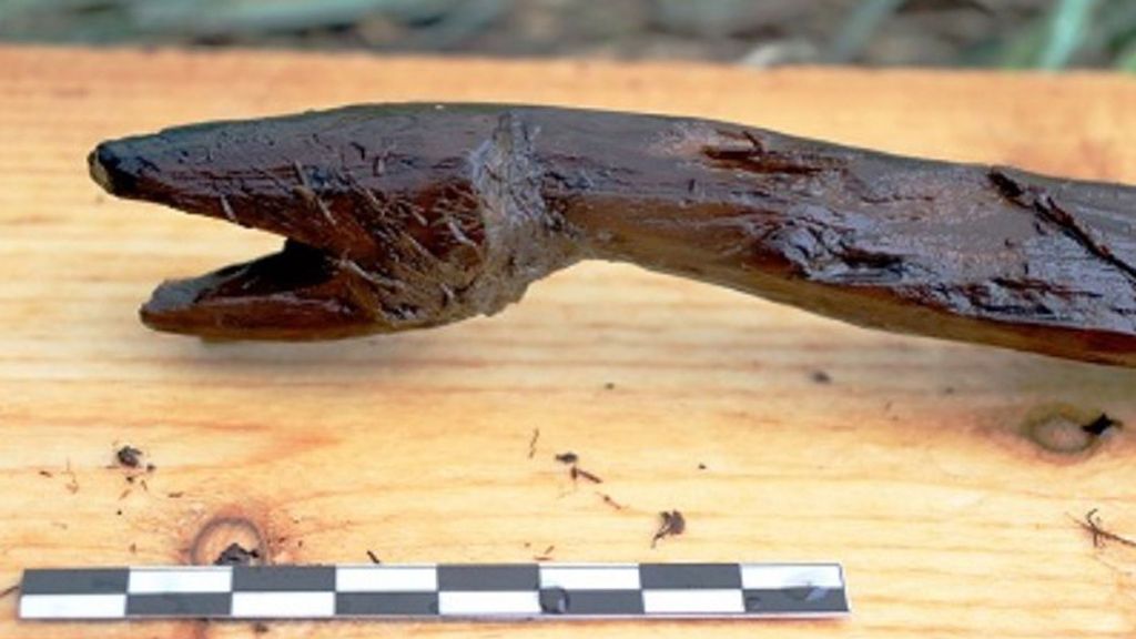 Main profile of the 4,000-year-old serpent-shaped stick found in southern Finland. (Satu Koivisto/Zenger)