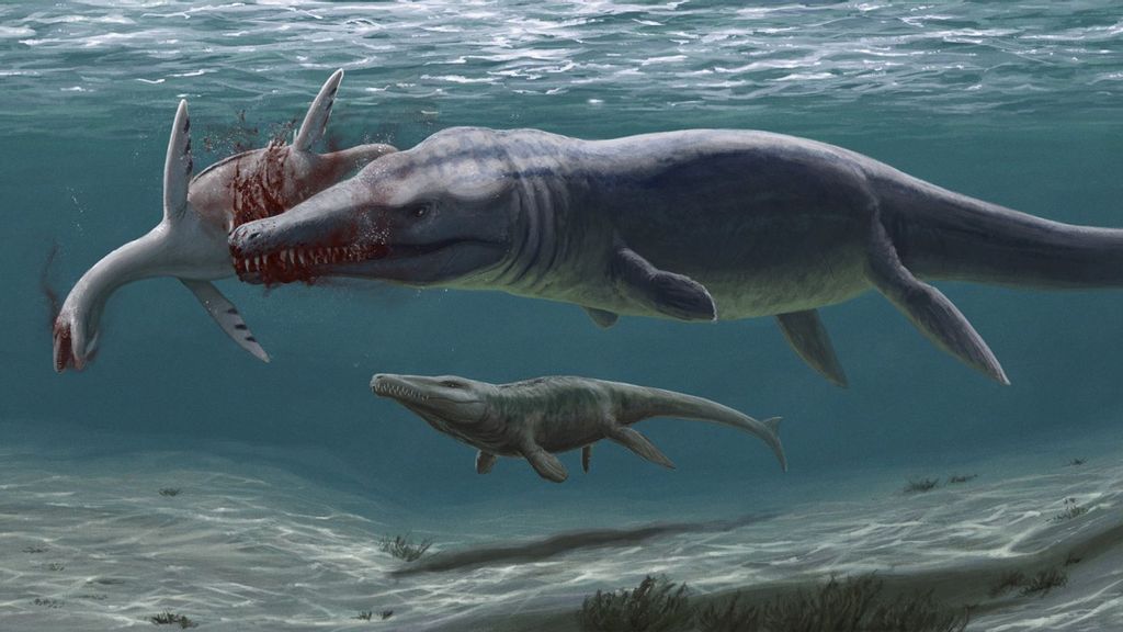 An illustrative image by the Vienna Natural History Museum showing a large relative of the crocodiles (Plesiosuchina) that attacks a smaller plesiosaur, with a Torvoneustes in the background. (Edyta Felcyn, Daniel Madzia/Zenger News)