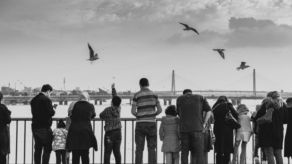 A recent study states that specific molecular characteristics distinguish birds from other creatures, allowing birds to fly. (Ashkan Forouzani/Unsplash)