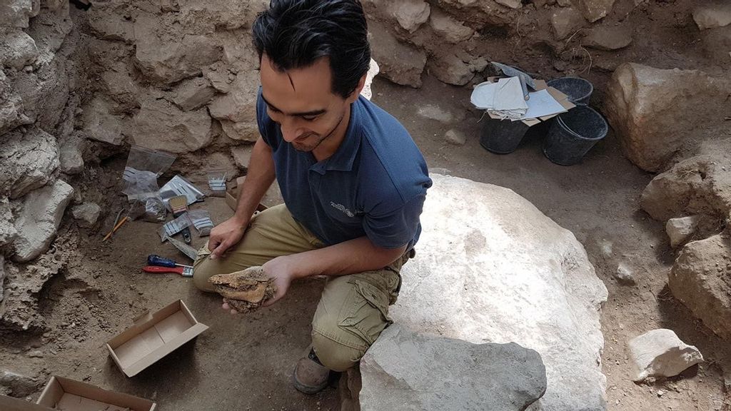 An archaeologist finds pig remains at an Iron Age site in Jerusalem, ancient Kingdom of Judah. (Courtesy of Israel Antiquities Authority)