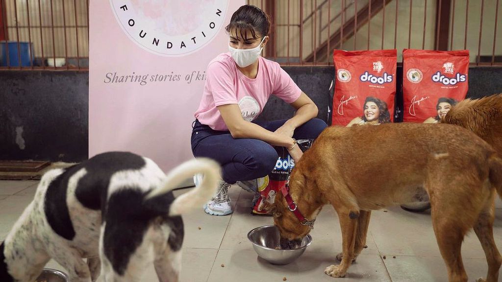 Jacqueline Fernandez recently shared pictures of her feeding the stray animals that might have been abandoned due to the lockdown norms. (@Jacquelinef143/Instagram)br 