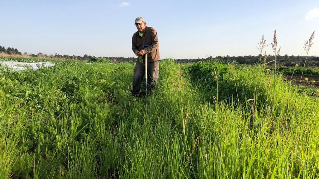 Ben Rosenberg will let his organic farm rest during the sabbatical year. (Courtesy of Ben’s Farm)