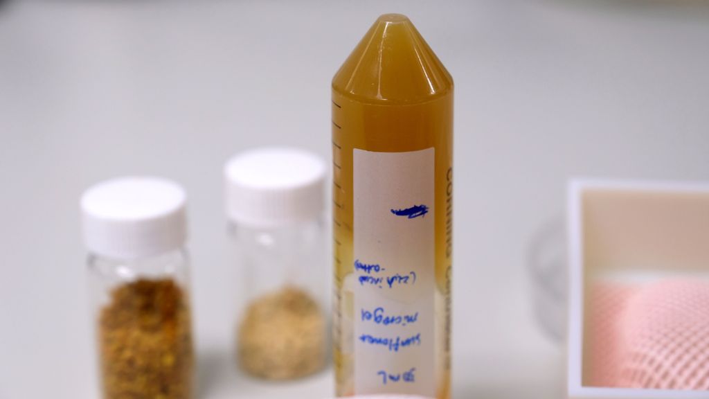 This pollen-derived ink developed by NTU Singapore (in the tube) is able to hold its shape when deposited onto a surface, making it a viable alternative to current inks used for 3D printing in the biomedical field, known as bioprinting. (NTU Singapore)