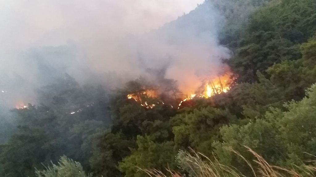 A forest fire rages in at the Turunc holiday resort in the Marmaris district of Mugla Province, Turkey. (Zenger)