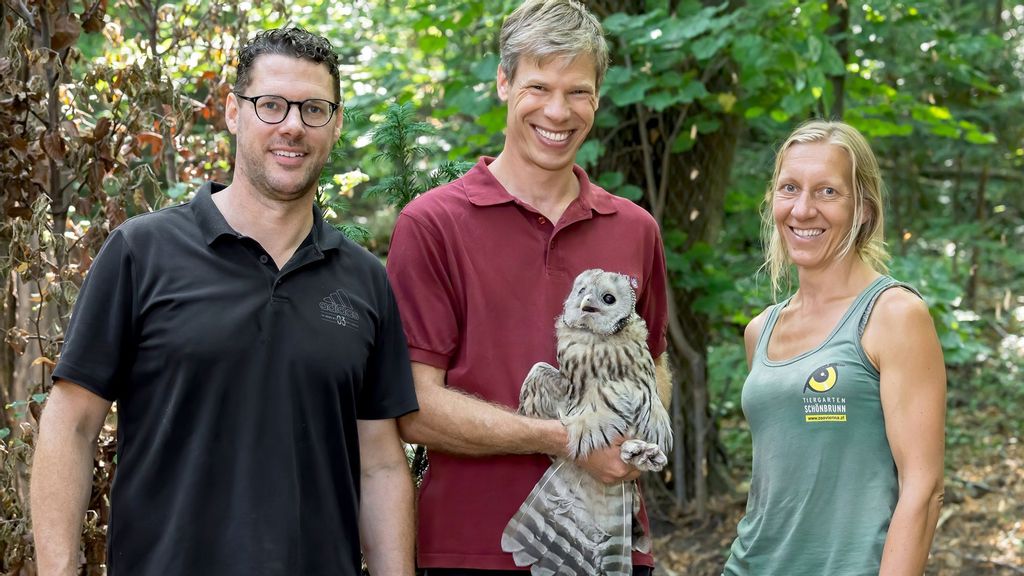 Curator Folko Balfanz, project manager Richard Zink and animal keeper Regina Riegler with the Ural owl at the Tiergarten Schonbrunn Zoo in Vienna, Austria. (Daniel Zupanc/Zenger)