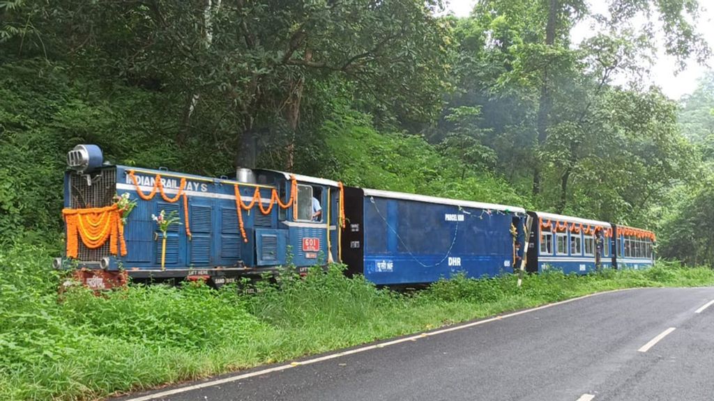 Northeast Railways introduces jungle tea toy-train safari. (Northeast Frontier Railway, @RailNf/Twitter)