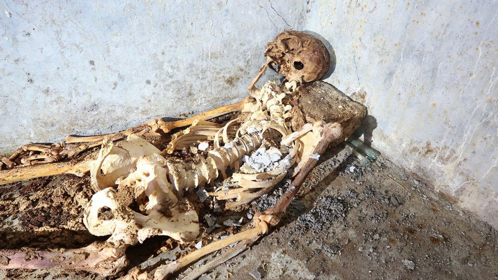 The well-preserved skeleton found in a tomb at Pompeii has been identified as that of Marcus Venerius Secundio. The former slave became a priest and introduced Greek language during public performances in the ancient Italian city, archaeologists said. (Parco Archeologico di Pompei/Zenger)