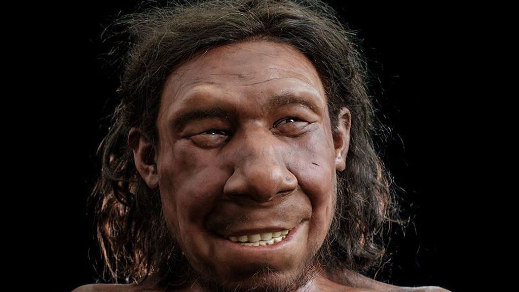 The reconstructed face of Neanderthal named Krijn as interpreted by palaeo-artists, It is on display in the National Museum of Antiquities in Leiden, Netherlands, through next month. (Rijksmuseum van Oudheden, Netherlands/Zenger)